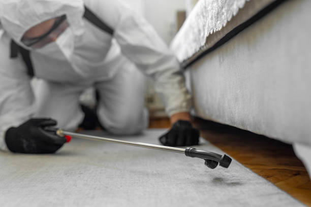 Professional Cockroach Control technician working in St. Leon, IN
